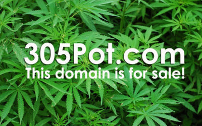 305POT.COM | This Domain is for Sale!
